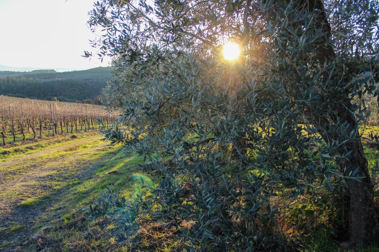 Fattoria La Torre Apartment San Gimignano Exterior photo